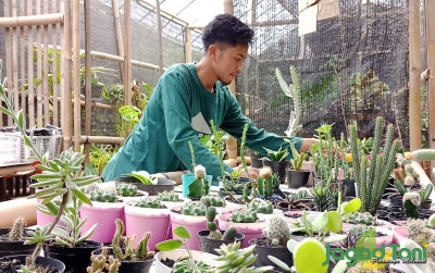 uploads/news/2022/03/berawal-hobi-sukses-di-838577500a53c10_400.jpg