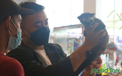 uploads/news/2022/03/ingin-menang-kontes-musang--136519cff756931_400.jpg