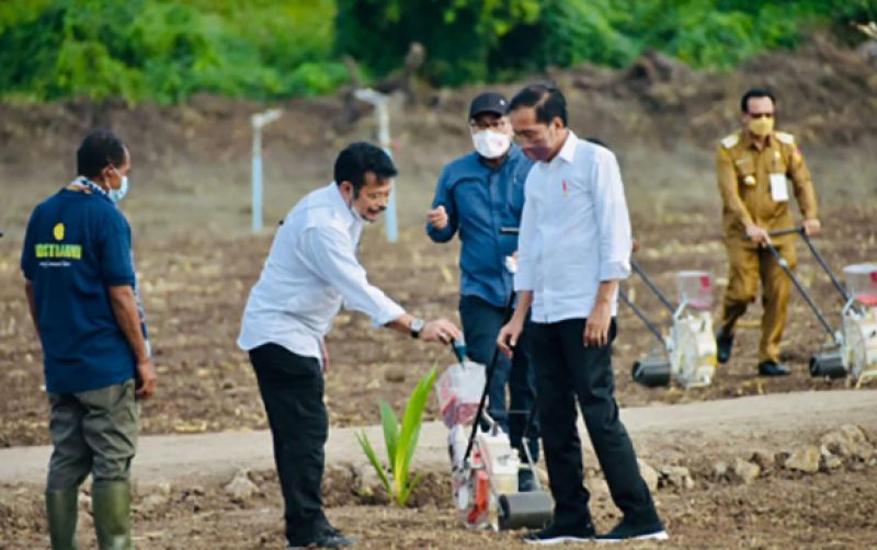 uploads/news/2022/03/jokowi-dan-syl-kunjungi-30596f5c1e614c3.jpg