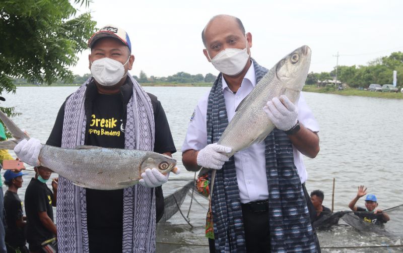 uploads/news/2022/03/kkp-canangkan-kampung-bandeng-519075cb5b43f95.jpeg