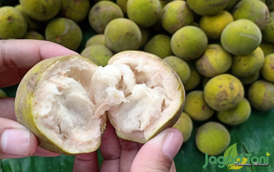 uploads/news/2022/03/mengenal-buah-kecapi-yang-50865aadfd8d7f2_400.jpg