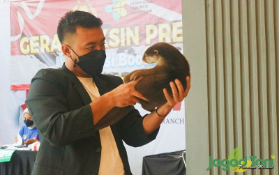 uploads/news/2022/03/musang-98466813c96b4bc_400.jpg