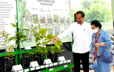 uploads/news/2022/03/rehabilitasi-lahan-kritis-dimulai-1301147547dffc6_400.jpg