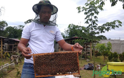 uploads/news/2022/03/sengatan-lebah-bawa-untung-46557870ac0807c_400.jpg