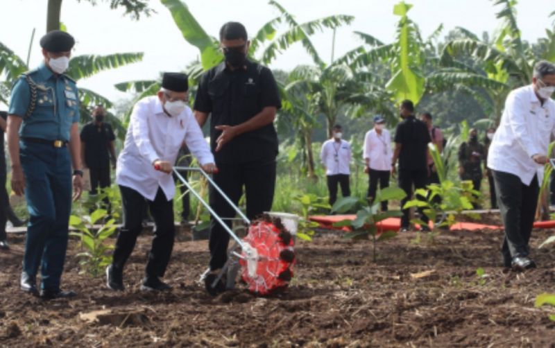 uploads/news/2022/03/wapres-ajak-bertani-berkonsep-7181521456f4a33.jpg