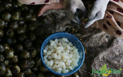 uploads/news/2022/04/balada-kolang-kaling-saat-6576709a1085877_400.jpg