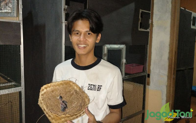 uploads/news/2022/04/murai-berkualitas-menjadi-andalan-772796bdb03f032_400.jpg