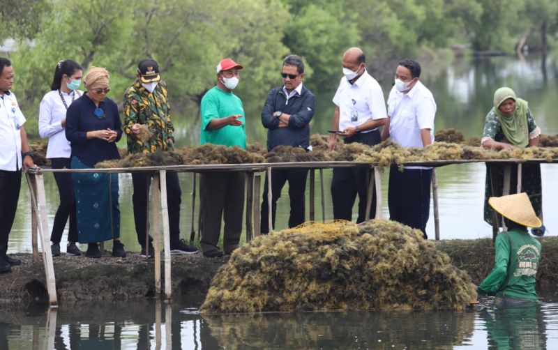 uploads/news/2022/04/pencanangan-kampung-budidaya-rumput-74764fb474b381e.jpeg