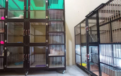 uploads/news/2022/04/pet-hotel-solusi-mudik-554744c57f11645_400.jpeg