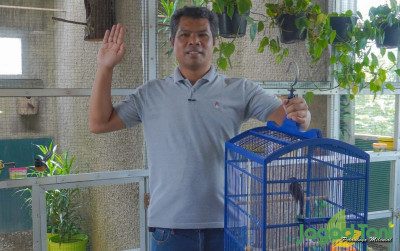 uploads/news/2022/04/tips-merawat-murai-agar-12567159301f4df_400.jpg