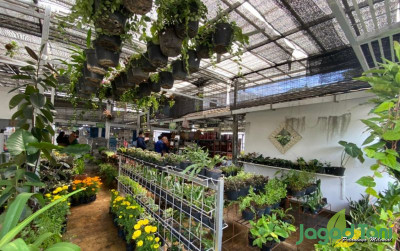 uploads/news/2022/05/dari-pameran-hingga-memiliki-1789964baae67e2_400.jpeg