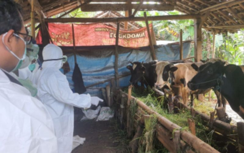 uploads/news/2022/05/hewan-kurban-di-jateng-4371748b9a91665.jpg