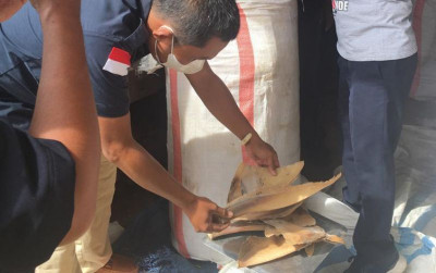 uploads/news/2022/05/ini-sanksi-perdagangan-sirip-3127982379da28f_400.jpeg