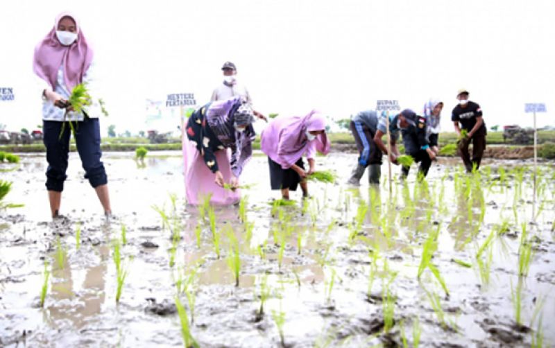 uploads/news/2022/05/kesuburan-jeneponto-bikin-syl-24464efd8c03410.jpg