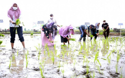 uploads/news/2022/05/kesuburan-jeneponto-bikin-syl-24464efd8c03410_400.jpg