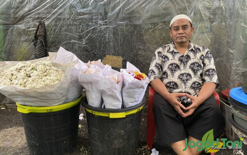 uploads/news/2022/05/lebaran-tahun-ini-penjualan-55826df7b06caf1.jpeg