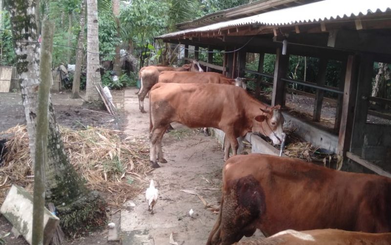 uploads/news/2022/05/lulusan-sarjana-olahraga-sukses-74245b1cd51f5cb.jpg