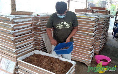 uploads/news/2022/05/lulusan-ugm-pilih-budidaya-2707966e2bc62a4_400.jpg