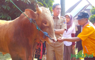 uploads/news/2022/05/mengantisipasi-wabah-pmk-di-951780b56afa3e1_400.jpg
