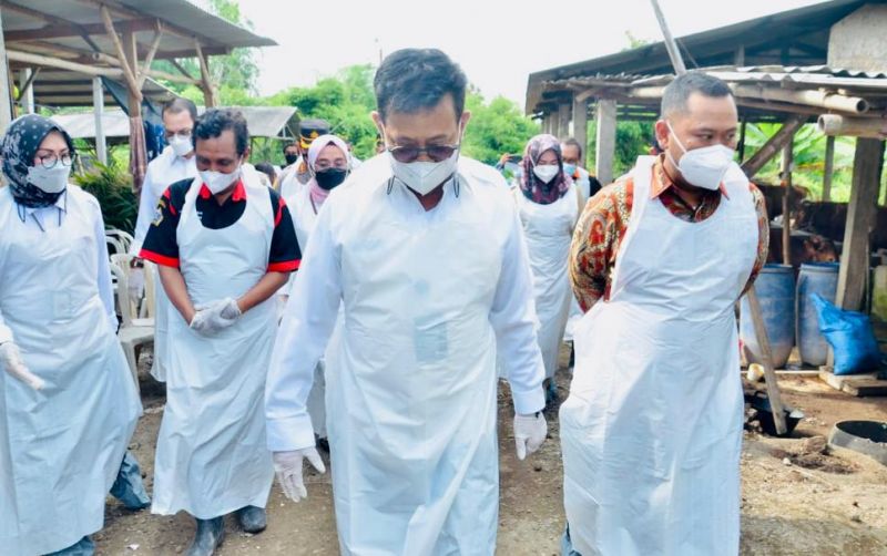 uploads/news/2022/05/mentan-pastikan-pmk-tidak-84047bda80dbbe8.jpg