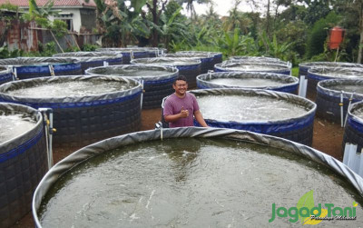 uploads/news/2022/05/minab-agribisnis-berternak-nila-48280cc3d24a8fb_400.jpg