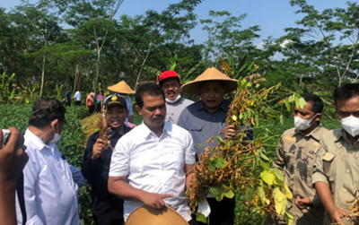 uploads/news/2022/05/panen-kedelai-makin-meningkat-60985d8c044c785_400.jpg