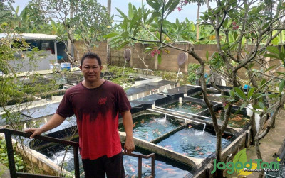uploads/news/2022/05/platinum-koi-9967565f6d07c79_400.jpg
