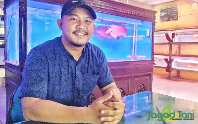 uploads/news/2022/05/tertantang-daya-tarik-arwana-39076f5daea9302_400.jpg