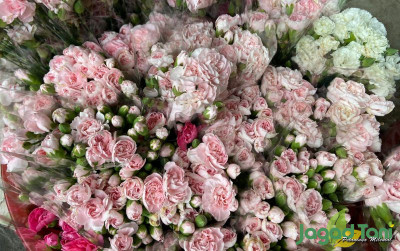uploads/news/2022/05/tips-merawat-bunga-potong-9668378ebe18aa0_400.jpeg