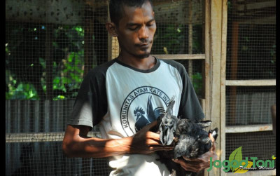uploads/news/2022/06/ayam-cemani-si-hitam-32963ec031742de_400.jpg