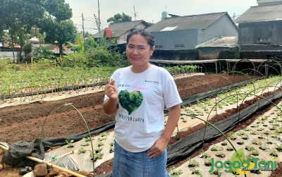 uploads/news/2022/06/kebun-rizki-andalkan-sistem-497597c5f2929e1_400.jpg