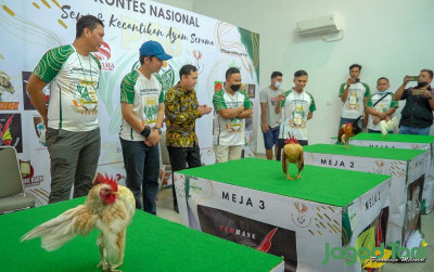 uploads/news/2022/06/kontes-ayam-serama-sukses-5455434536e0d93_400.jpg
