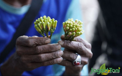 uploads/news/2022/06/laskar-rempah-susuri-jejak-28400b99a530532_400.jpg