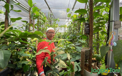 uploads/news/2022/06/mengisi-masa-penisun-dengan-9728303492bbbee_400.jpeg