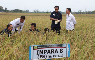 uploads/news/2022/06/mentan-syl-dorong-varietas-330617353716260_400.jpg