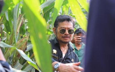 uploads/news/2022/06/mentan-tinjau-perkembangan-jagung-31773ccd642cd3c_400.jpg
