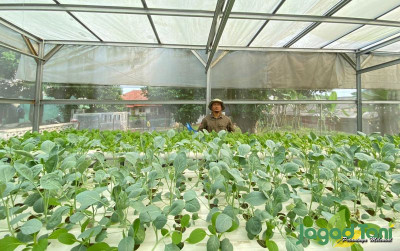 uploads/news/2022/06/raup-cuan-dengan-bertani-74554cb26940a98_400.jpeg