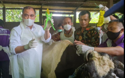 uploads/news/2022/06/vaksinasi-pmk-nasional-telah-45175dc269960ca_400.jpg