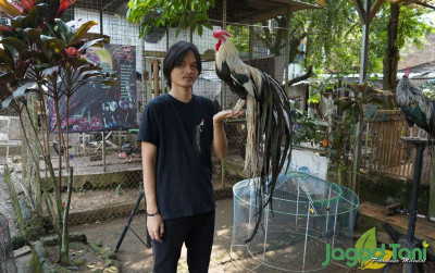 uploads/news/2022/07/mengenal-ayam-ekor-panjang-9744933d177c768_400.jpeg