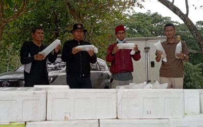 uploads/news/2022/07/ratusan-ribu-benih-lobster-6012556bf2c0807_400.jpeg