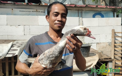uploads/news/2022/08/arifudin-memilih-bisnis-ternak-89016e09247b7dc_400.jpg