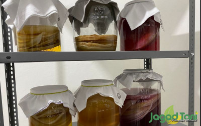 uploads/news/2022/08/cara-membuat-kombucha-dan-518359dac6e2945_400.jpeg