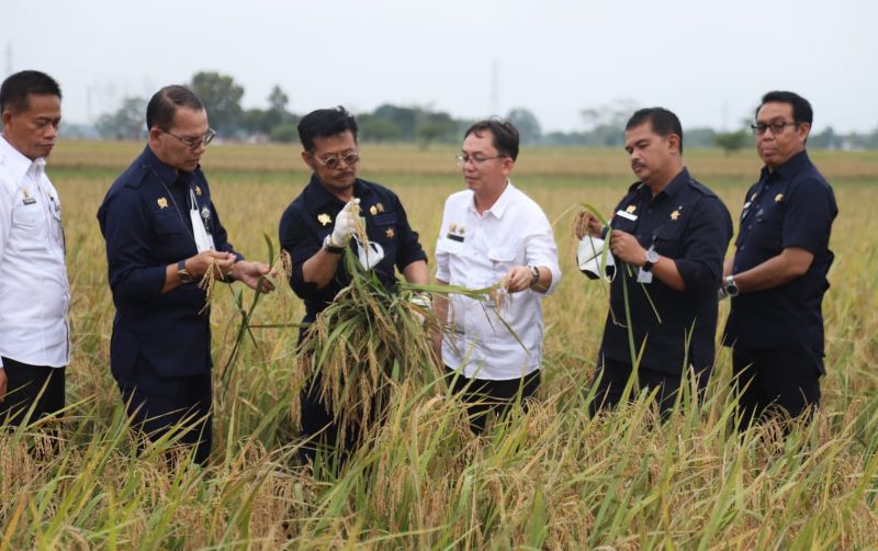 uploads/news/2022/08/hasil-survey-stok-beras-36771770d825202.jpg