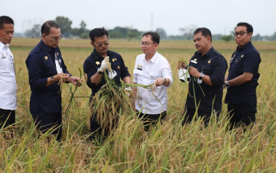 uploads/news/2022/08/indonesia-berhasil-swasembada-beras-99097770d825202_400.jpg