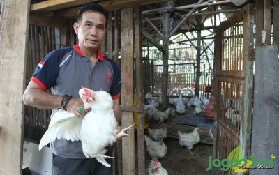 uploads/news/2022/08/indukan-ayam-afkir-cocok-19693b22b4b3e57_400.jpeg
