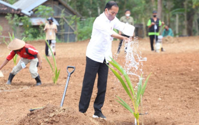 uploads/news/2022/08/jokowi-luncurkan-program-kelapa-362473e39b1dc23_400.jpg