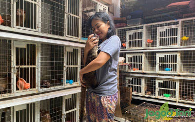 uploads/news/2022/08/juri-perempuan-satu-satunya-dalam-289795e66cec418_400.jpeg