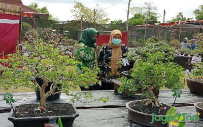 uploads/news/2022/09/473-tanaman-meriahkan-kontes-22555201953b5ca_400.jpg