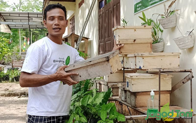 uploads/news/2022/09/budidaya-lebah-klanceng-menjanjikan-796350723a1742d_400.jpg