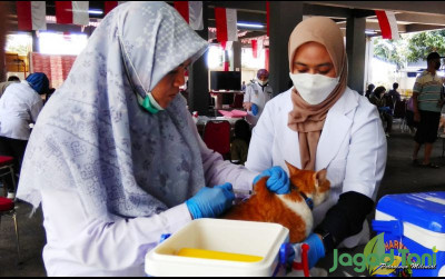 uploads/news/2022/09/menangkal-hewan-terinfeksi-rabies-418519725060d3a_400.jpg